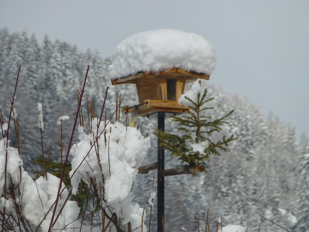 Guesthouse Mountain View Großkirchheim Εξωτερικό φωτογραφία